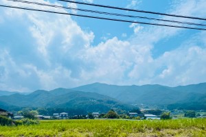 写真③250714